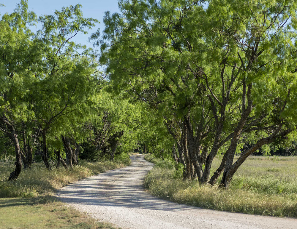Perini Ranch Guest Quarters: Stay at Perini Ranch Steakhouse
