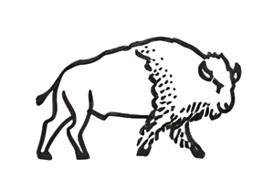 Perini Ranch Perfection